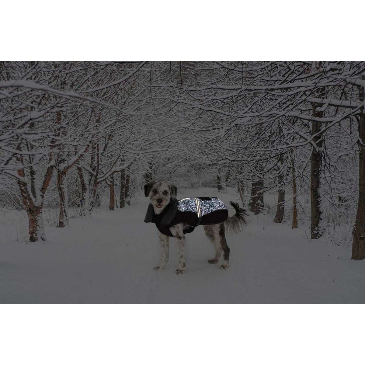 V4H13943F8C4B4DBDB5BA20617D87C027A9R5332517P2